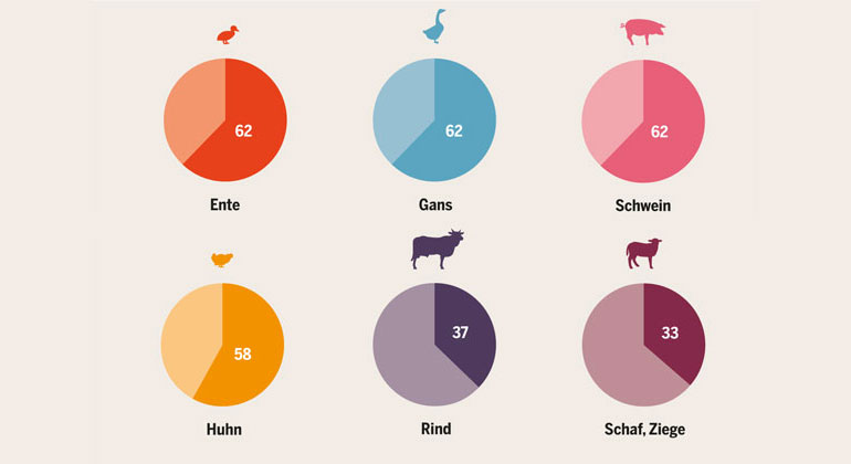 Heinrich-Böll-Stiftung | Creative Commons Lizenz | Zwischen Schlachtung und Verzehr. Essbarer Anteil eines ganzen Tieres in Deutschland, in Prozent, 2012