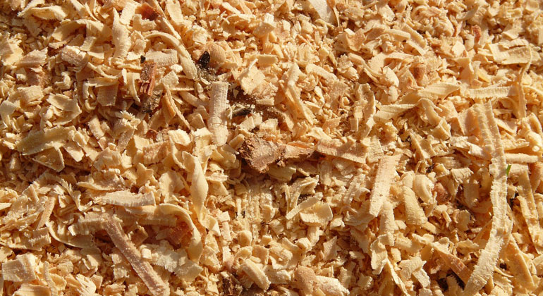 Researchers find way to turn sawdust into gasoline
