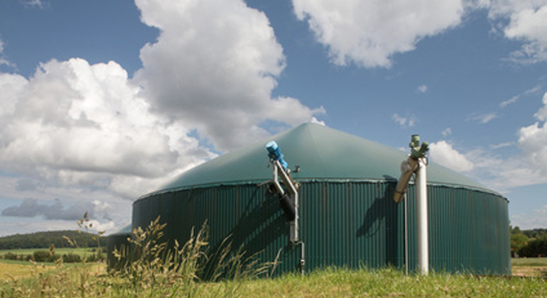 Fotolia.com | Ingo Bartussek | Biogas mit Gülle ist nach der EEG-Reform als einzige Form der Biogasgewinnung lukrativ, sagt der Branchenchef.