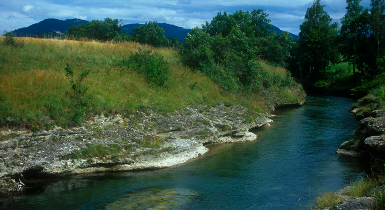 univie.ac.at | Franz Essl | Naturnahe artenreiche Flusslandschaften wie hier die Erlaufschlucht in Niederösterreich sind eine Seltenheit geworden.