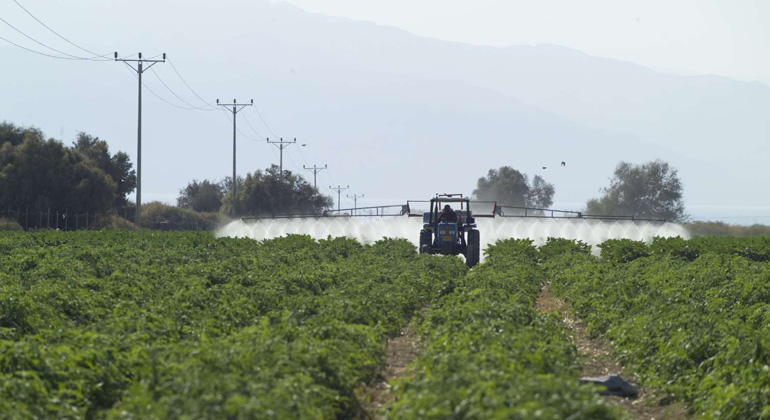 ufz.de | André Künzelmann | Use of insecticides in the West Bank. The investigation showed that with higher average temperatures even more insecticides are used and therefore streams are more at risk in warmer regions than in colder.