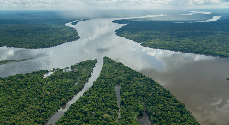WWF - Zig Koch | Tapajos River, Mato Grosso, Brazil. The Amazon is the world’s largest forest but if recent deforestation trends continue, more than a quarter of the biome will be without forests by 2030.