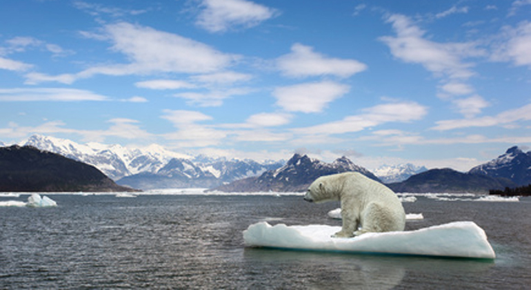 Fotolia.com | Alexander | Der Eisbär ist das Symbol der weltweiten Erwärmung, die nun führende Forscher von NASA und NOAA als entscheidende Herausforderung des 21. Jahrhunderts bezeichnen.