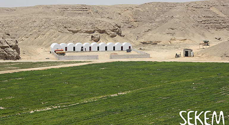 sekem.com | Farm houses in El Minya