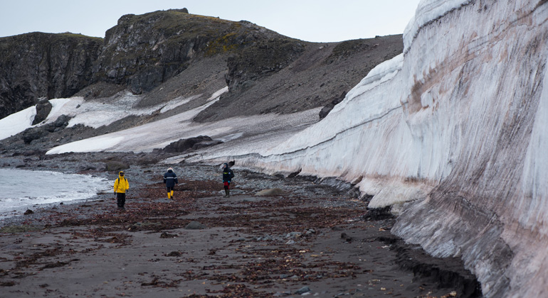 AWI | Anders Torstensson | Gletscher an der Potter Cove | Schmelzen Gletscher, transportiert das Wasser Sedimente mit in den Ozean.