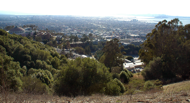 P. Martínez-Garzón | GFZ | One of the world’s most famous faults: the Californian Andreas Fault, seen here in the Bay area of San Francisco.