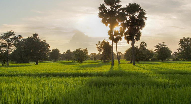 Stiftung Solarenergie | Landschaft Kambodscha