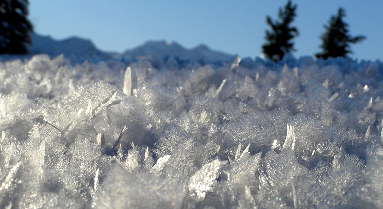 pixelio.de | ch-fo/Daniel Stricker | Schneekristalle nehmen abhängig von der Temperatur unterschiedliche Formen an.