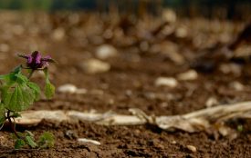 pixabay.com | Unsplash