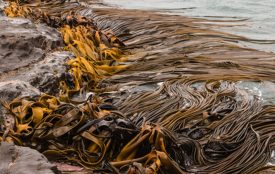 Depositphotos | pstedrak