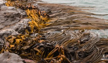 Depositphotos | pstedrak
