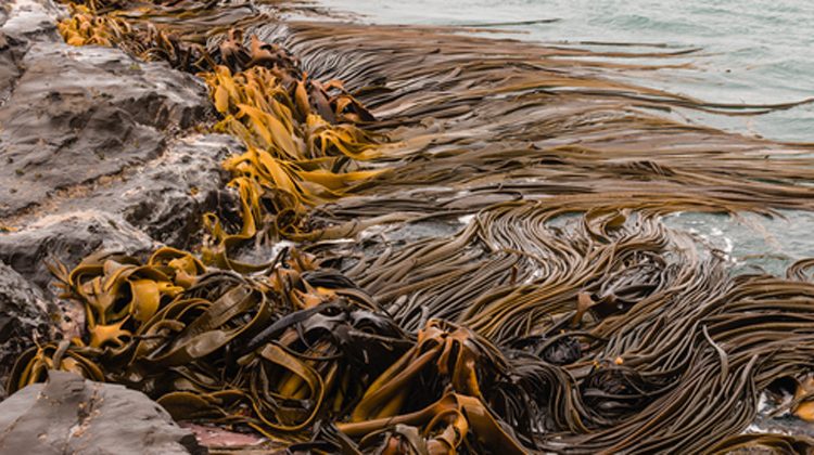 Depositphotos | pstedrak
