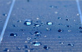 Depositphotos | illarionovdv