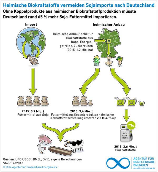 Agentur für Erneuerbare Energien