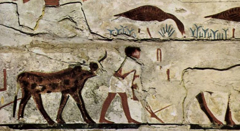 public domain | Max-Planck-Gesellschaft | Humans have had an impact on ecological systems for several thousands years - for example through hunting, agriculture, and the domestication of animals. This relief in the burial chamber of Nefermaat I shows the hunting of game birds (geese) and plowing of a field with cattle in Ancient Egypt about 2,500 BC.