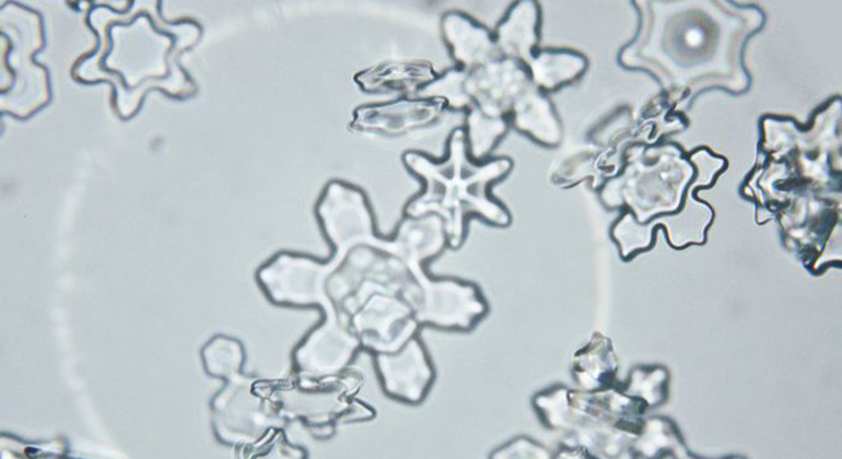 Neuschnee GmbH | Schneekristalle unter dem Mikroskop