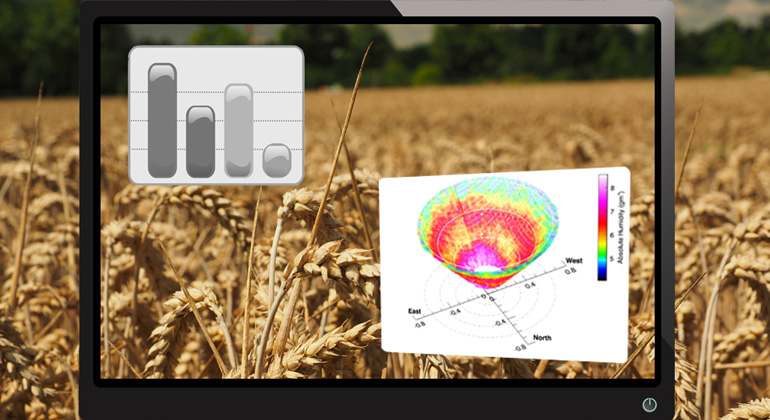Univeristät Hohenheim | pixabay | Virtuelles Getreide für die Klimaforschung.