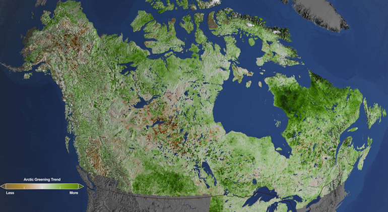 Cindy Starr | NASA Goddard Space Flight Center | Klimawandel: Aufnahmen des Landsat-Satelliten zeigen, dass die Arktis immer grüner wird