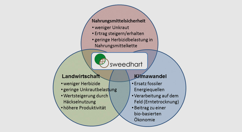 Fraunhofer UMSICHT | Alle Vorteile von »Sweedhart« auf einem Blick.