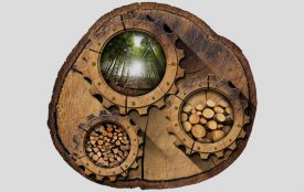 Depositphotos | catalby