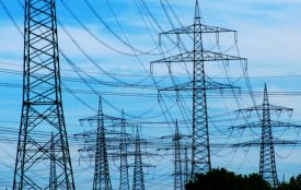 pixelio.de | Rainer-Sturm