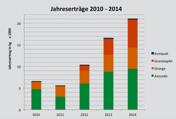 forum-csr.net | Immo Fiebrig | Ertragssteigerungen im Verlauf von fünf Jahren für vier Obstsorten aufgrund verschiedener Maßnahmen, insbesondere mikrobiologische Bodenverbesserung. Die Granatapfel- und Kumquatkulturen stammten aus Neuanpflanzung, Avocado und Orangen aus älteren Pflanzungen. Finca Jelanisol & Montebello, Südspanien.