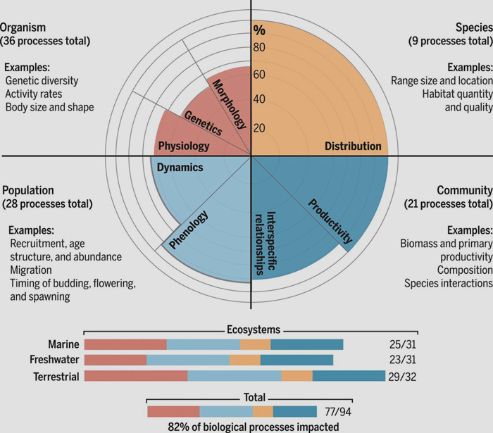 University of Florida | Bloomberg | Die Ergebnisse des Reports auf einen Blick: Bei den Lebensräumen zeigen sich die meisten Veränderungen, bei genetischen Veränderungen liegt der Anteil bei 60 Prozent. | Studyie: The broad footprint of climate change from genes to biomes to people