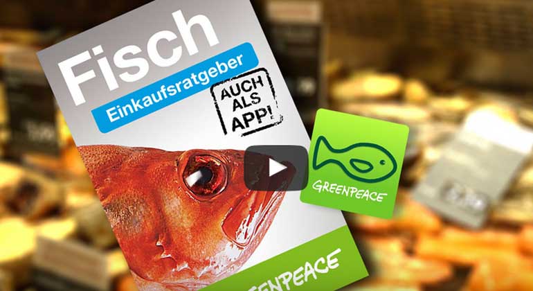greenpeace.de | Der Fischratgeber ist auch als praktische App für Ihr Smartphone erhältlich.