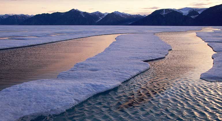 Staffan Widstrand | WWF | Baffin Island, Nunavut