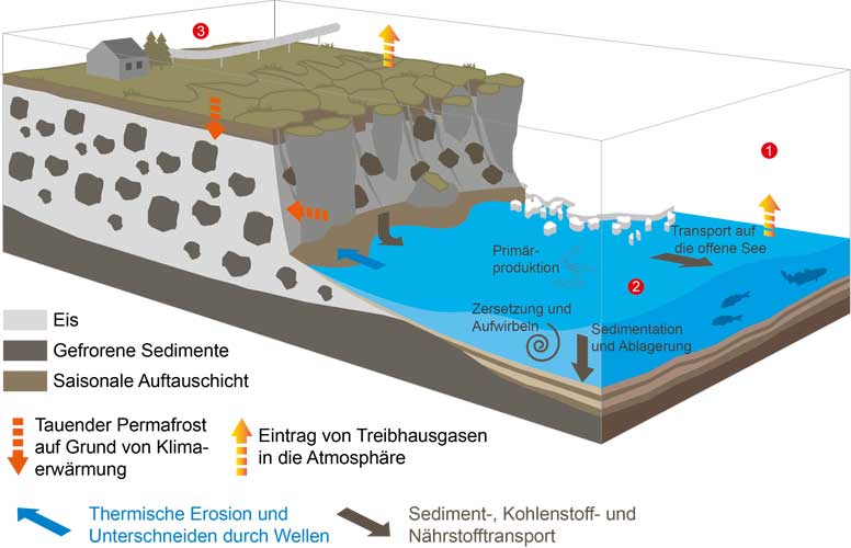 AWI | Michael Fritz/Yves Nowak | Grafische Darstellung der Küstenerosion und ihrer biogeochemischen Folgen für die Flachwasserzone.