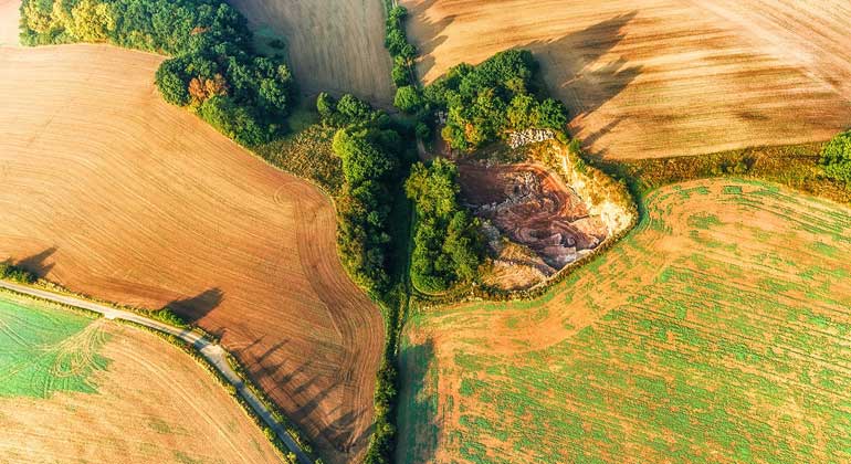 Helmholtz-Zentrum für Umweltforschung (UFZ) | Thomas Hesse | Hecken als ökologische Vorrangfläche im Eichsfeld: Biotopvernetzung für Fauna und Flora