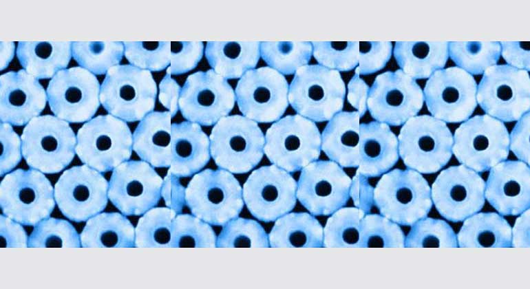 ucsd.edu | Schematische Darstellung der hocheffizienten Nanotürmchen