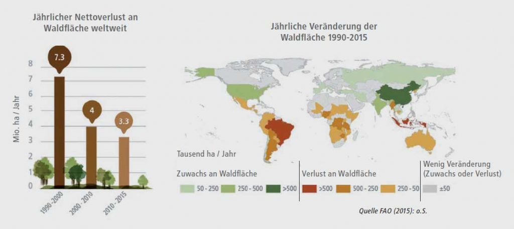 suedwind-institut.de | FAO 2015 | Rückgang der Waldgebiete 1990 - 2015