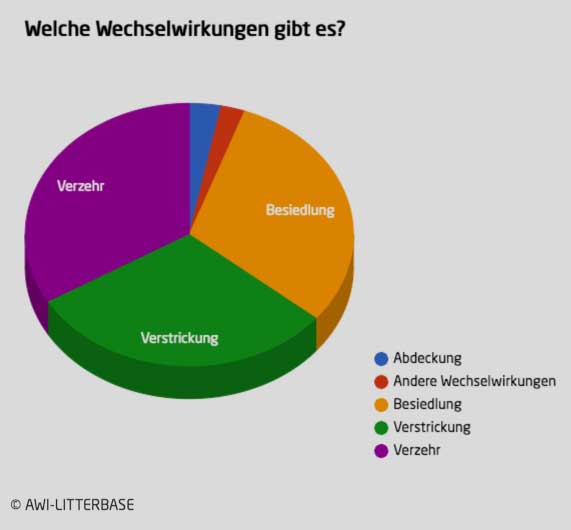 Alfred-Wegener-Institut / AWI-Litterbase | Prozentzahlen, welcher Art die interaktionen von Tieren mit Meeresmüll sind.