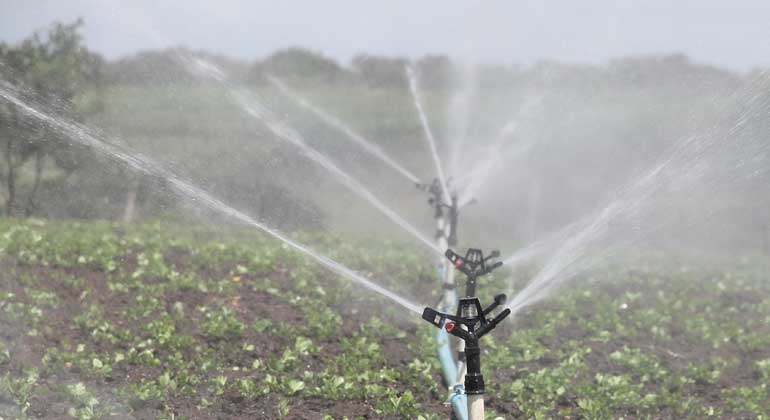 pixabay.com | feraugustodesign | Von Ende 2011 bis Anfang 2017 herrschte in Kalifornien eine schwere Dürre. Um die heimische Landwirtschaft zu schonen, wurden ihr erst Mitte 2015 Einschränkungen bei der Bewässerung auferlegt.