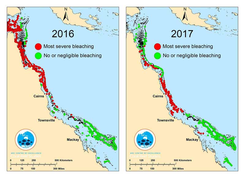 coralcoe.org.au