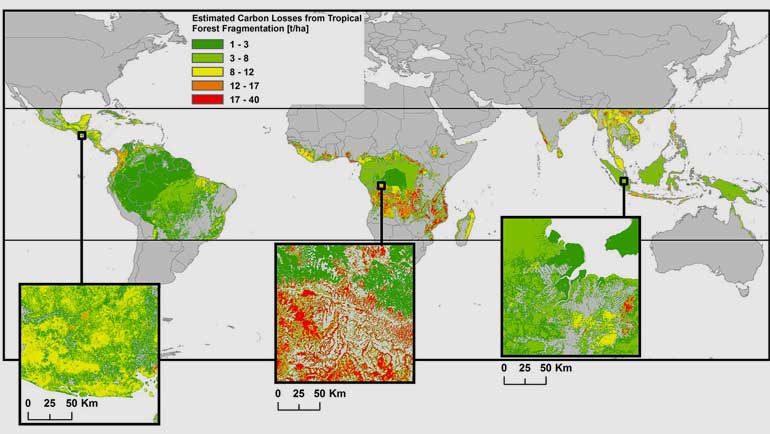 UFZ | Worldwide carbon emissions due to fragmentation of tropical forests. Shading represents the estimated carbon losses for each fragment, setting edge depth to 100 m and relative carbon losses in forest edges to 50%.