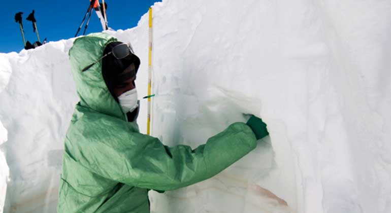 Weil T. et.at. Microbiome 20175:32 CC BY 4.0 | Ganze Gemeinschaften von Mikroorganismen aus der Sahara fanden die Forscher im Schnee und Eis der Alpen.