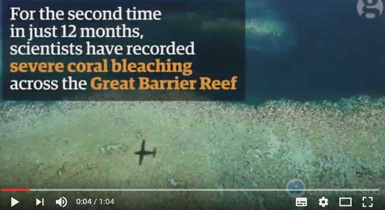 theguardian | screenshot | Great Barrier Reef