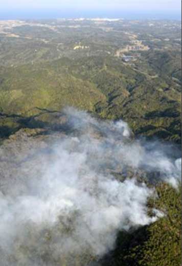 Kazuhiko Kobyashi | Neue radioaktive Verseuchung durch Waldbrand in Japan