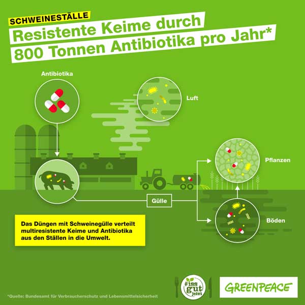 greenpeace.de