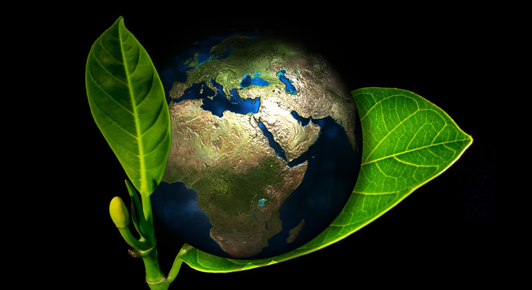 pixabay.com | geralt | Durch die Klimaerhitzung könne die Erde zu einem unbewohnbaren Ball wie die Venus mit 250 Grad Hitze werden.