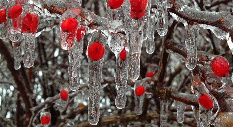 Uni Graz shows how we get global warming under control