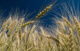 pixelio.de | JakobEhrhardt |