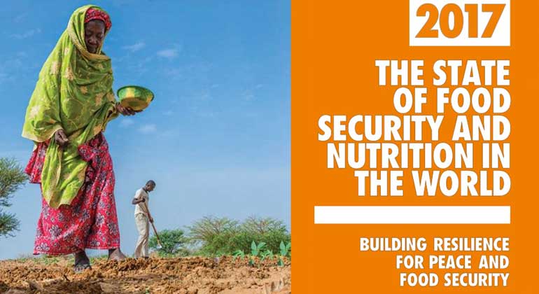 fao.org | 815 million people now hungry – Millions of children at risk from malnutrition