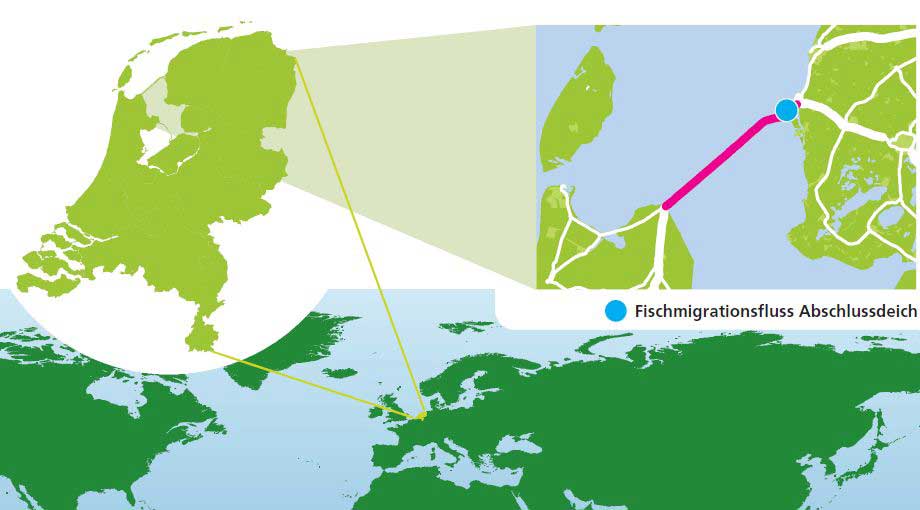 ryslan Marketing | Der Fischmigrationsfluss entsteht am niederländischen Abschlussdeich.