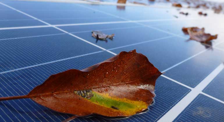 Leipziger Institut für Energie (IE Leipzig) | Manchmal liegen die Gründe für Ertragseinbußen bei Photovoltaik-Anlagen auf der Hand, oder besser auf dem Modul.