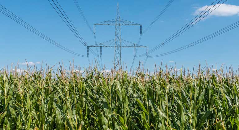 UFZ / André Künzelmann | Drop-in Kraftstoff aus Biomasse und elektrischer Energie.