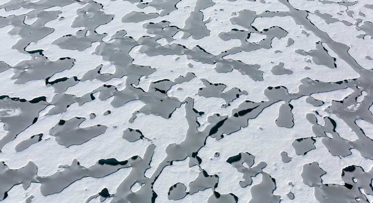 Alfred-Wegener-Institut (AWI) | Stefan Hendricks | Blick auf schneebedecktes arktisches Meereis mit Schmelzwassertümpeln,im Spätsommer. Der Schnee auf dem arktischen Meereis schmilzt in jedem Sommer vollständig – zurück bleiben Tümpel aus Schmelzwasser. In großen Teilen der Arktis entstehen diese Tümpel innerhalb weniger Tage, oft in den ersten Juniwochen. Sie verschwinden erst wieder mit dem Gefrieren der Oberfläche im September. Die meisten dieser Süßwassertümpel messen im Durchmesser drei bis 20 Meter. Ihre Farbe hängt vor allem von der Eisdicke unter dem Tümpel ab, da der dunkle (schwarze) Ozean dann mehr oder weniger stark durch scheint. Auf dickerem, mehrjährigem Meereis ist sie folglich eher türkis, bei dünnerem einjährigem Eis dunkelblau bis schwarz.
