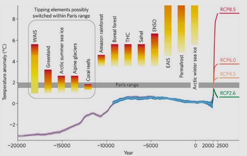 Macmillan Publishers Ltd. | Wahrscheinlichkeit von Kipp-Punkten in Bezug zur Veränderung der globalen Mitteltemperatur. (4) Abkürzungen: WAIS: West-­Antarktisches Eisschild; THC: thermohaline Zirkulation; ENSO: El Niño-Southern Oscillation; EAIS: Ost-Antarktisches Eisschild. Aus: Schellnhuber et al. 2016. (2)